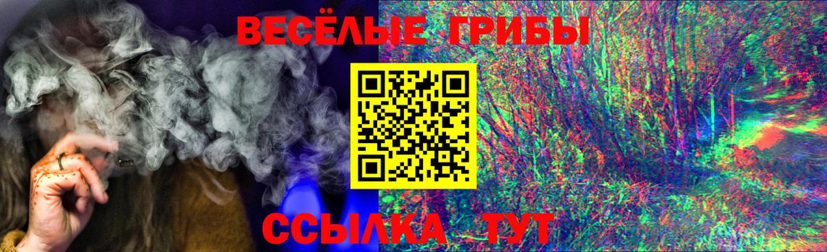 Ачхой-Мартан  Псилоцибиновые грибы Psilocybe  Вход с VPN  Галлюциногенные грибы GOLDEN TEACHER 